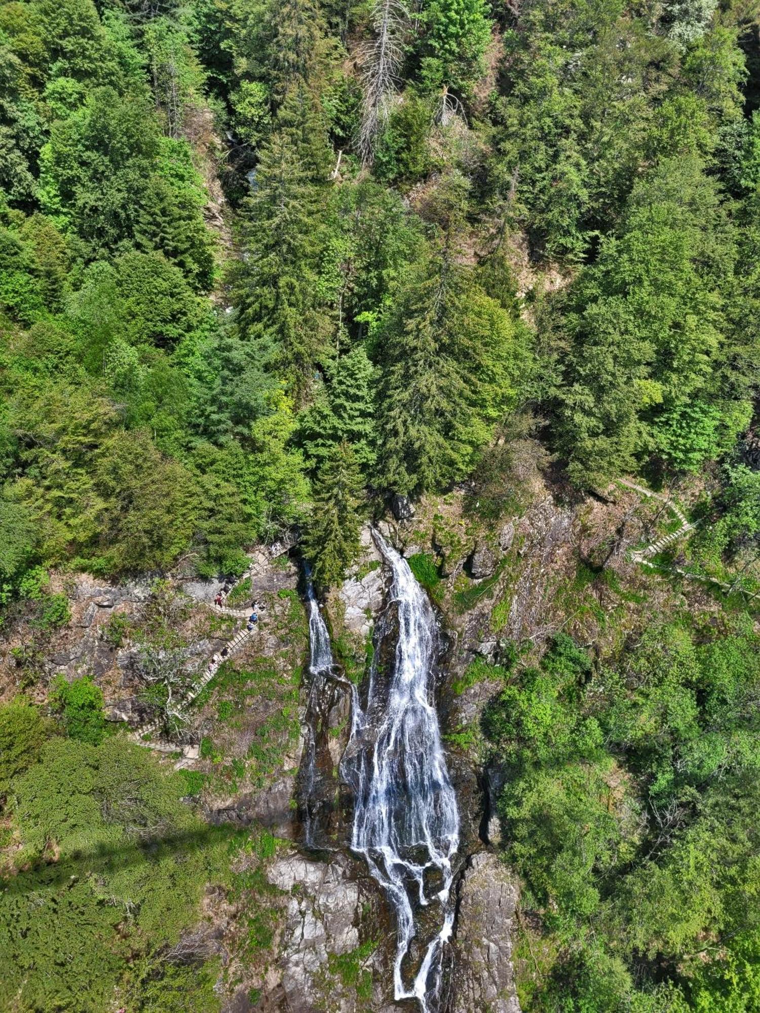 Schwarzwaldhaus Sonnenstrasse, Oberried-Hofsgrund, Dreisamtal Villa Oberried  Exteriör bild